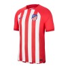 Maillot de Foot Atlético Madrid Domicile 2023-24